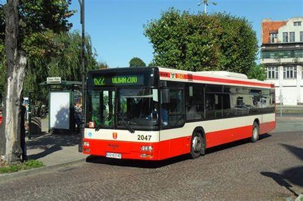 Pnrr, via libera a 1,9 miliardi per l'acquisto dei bus ecologici