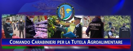 Traffico illecito di rifiuti sequestro da 4 milioni nel Lodigiano