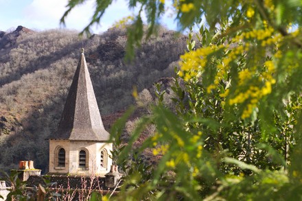 4 italiani su 10 regalano fiori e mimose