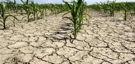 Arriva la primavera dopo l’inverno più caldo di sempre con +2,19°