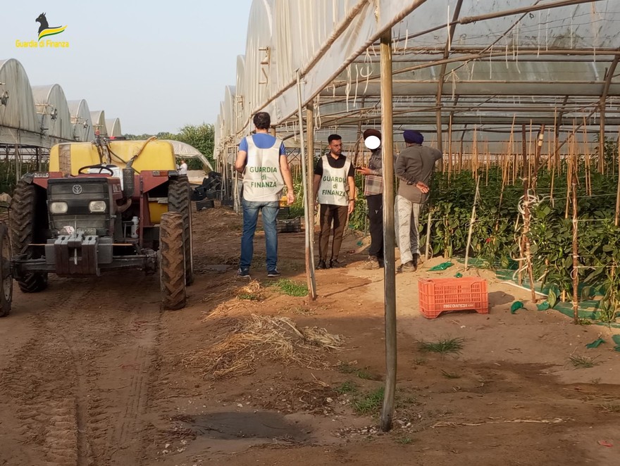 Guardia di Finanza Latina controlli settore agro alimentare.jpg