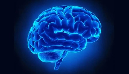 Internet e Brain Rot, davvero la rete ci marcisce il cervello?
