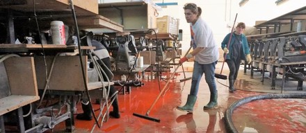 Danni da catastrofi, l'obbligo di assicurazione va posticipato