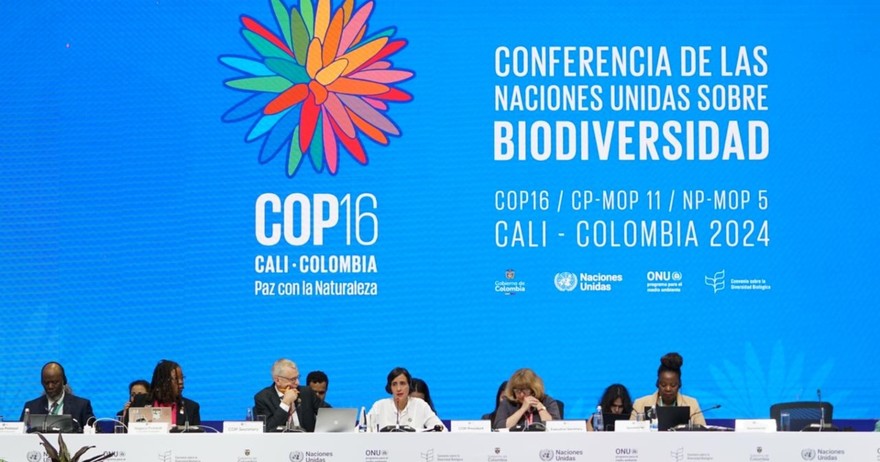 cop16_biodiversity_cali_un_onu.jpg