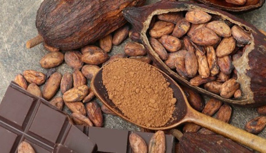 cacao-660x330.jpg