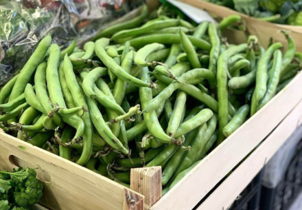 Tempo di fave ma anche di favismo