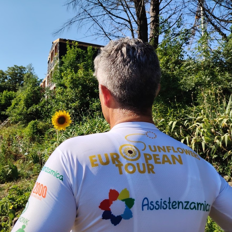 European SunFlowers Tour Francia Van Gogh.jpg